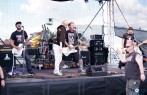 DSC08826.jpg