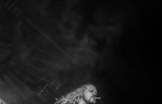 DSC00668.jpg